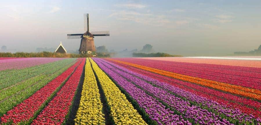 Bolsas para estudar na Holanda