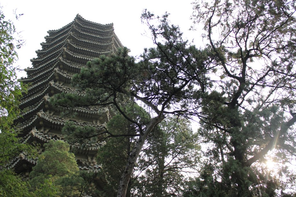 pagoda que fazia parte do jardim de inverno imperial e agora e parte da universidade