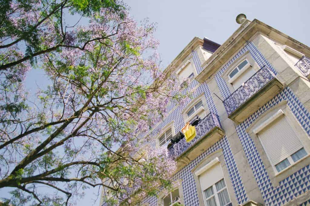 Bolsas de estudos parciais para mestrado em Portugal da universidade de Aveiro partiu intercambio