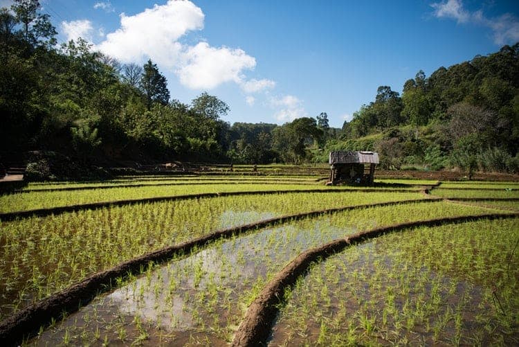 bolsa para mestrado em economia agrícola EPOS Alemanha