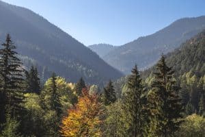mestrado em conservação e ecologia espanha espaços naturais protegidos