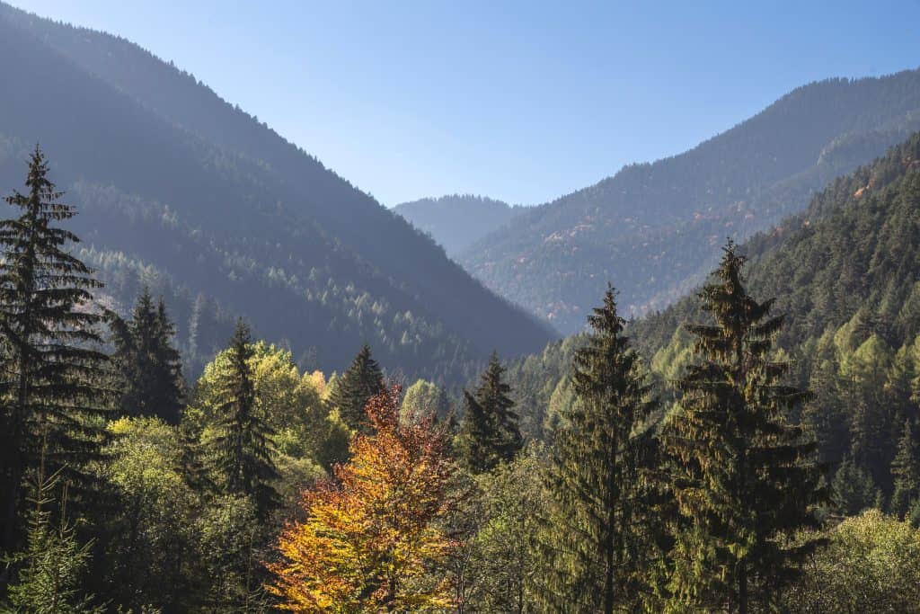 mestrado em conservação e ecologia espanha espaços naturais protegidos