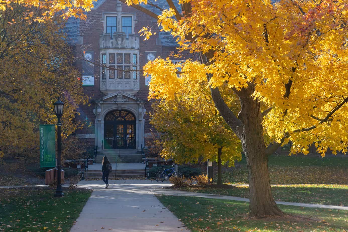 bolsas para faculdade nos Estados Unidos IWU Illinois