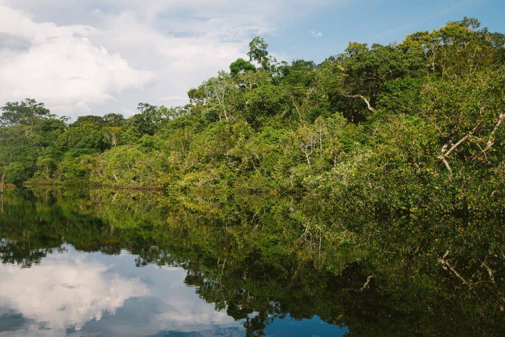 bolsas pesquisa amazonia