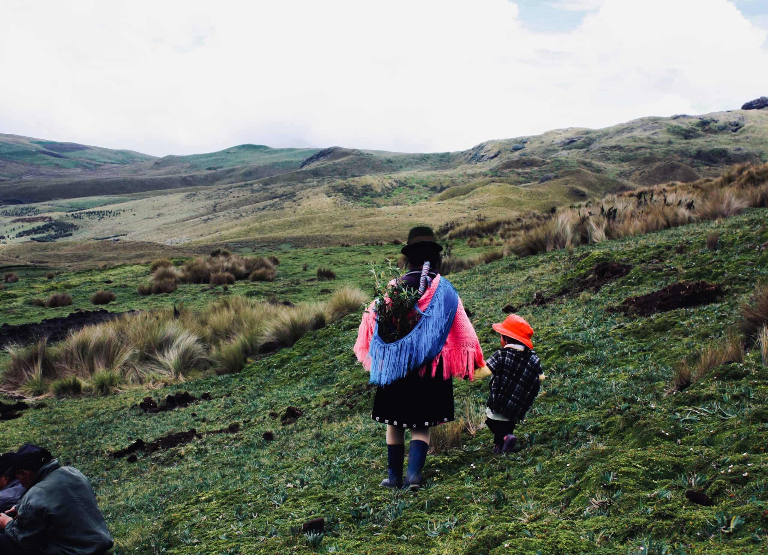 bolsa da ONU para indigenas